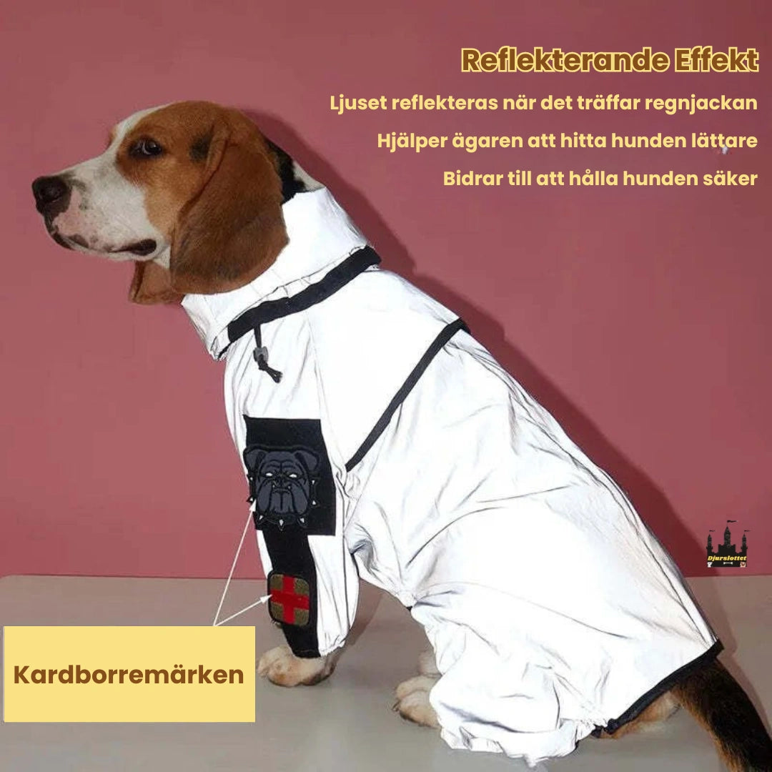 Reflekterande Regntäcke till Hundar Reflekterande effekt - Djurslottet