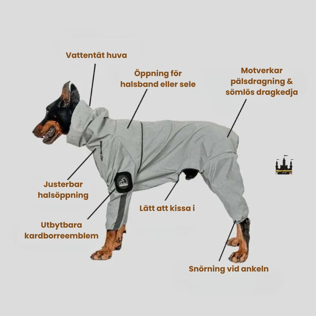Reflekterande Regntäcke till Hundar Säkerhet och Stil- Djurslottet