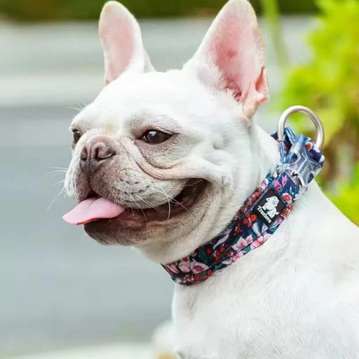 Reflexfit Blommönstrat Hundhalsband När vanliga halsband skaver, skramlar eller inte sitter rätt -Djurslottet