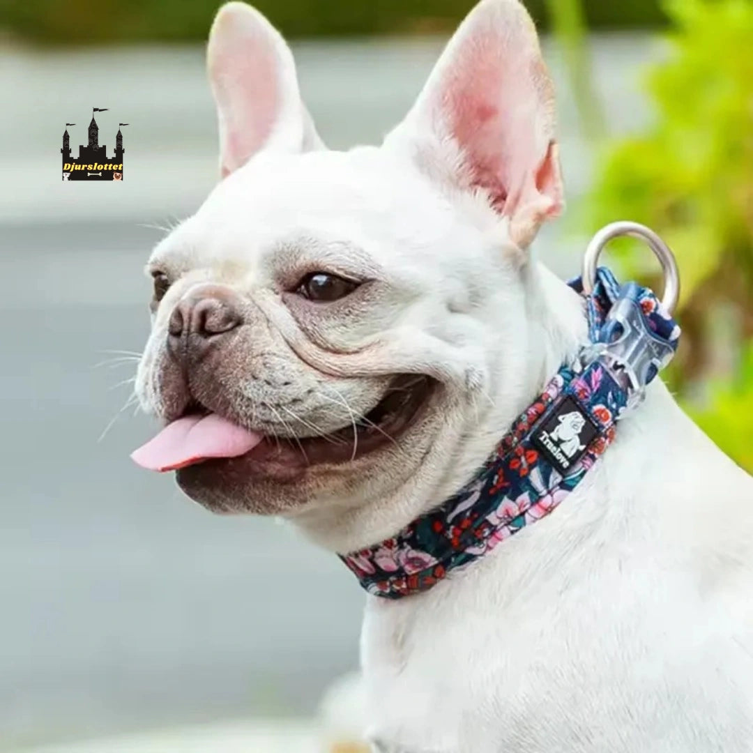 Reflexfit Blommönstrat Hundhalsband När vanliga halsband skaver, skramlar eller inte sitter rätt - Djurslottet