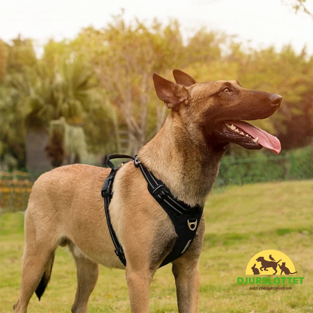 Reflexfit Justerbar Hundsele Justerbar passform - Djurslottet