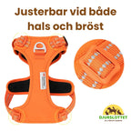 Reflexfit Justerbar Hundsele Justerbar vid både hals och bröst - Djurslottet