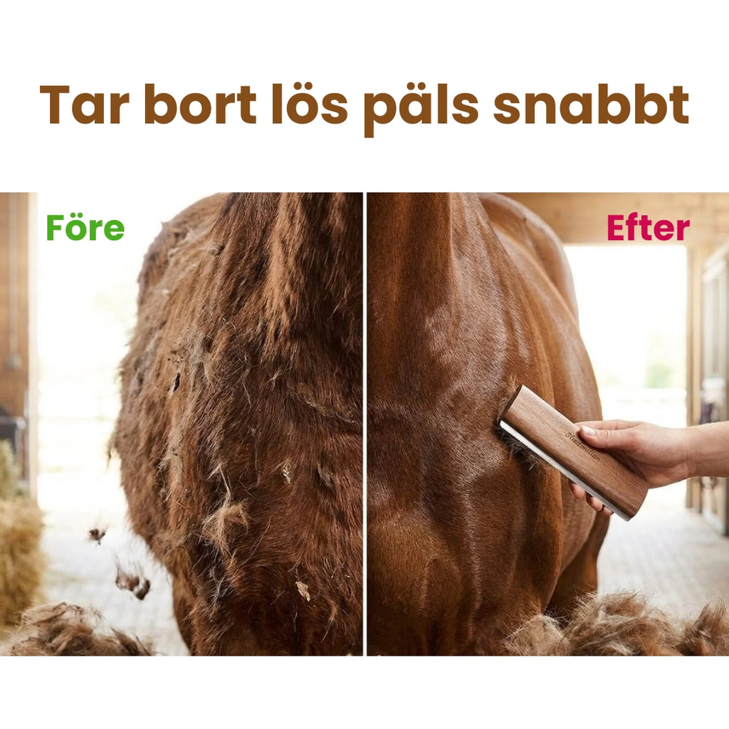 Rengöringsborste för hästpäls Tar bort lös päls snabbt - Djurslottet