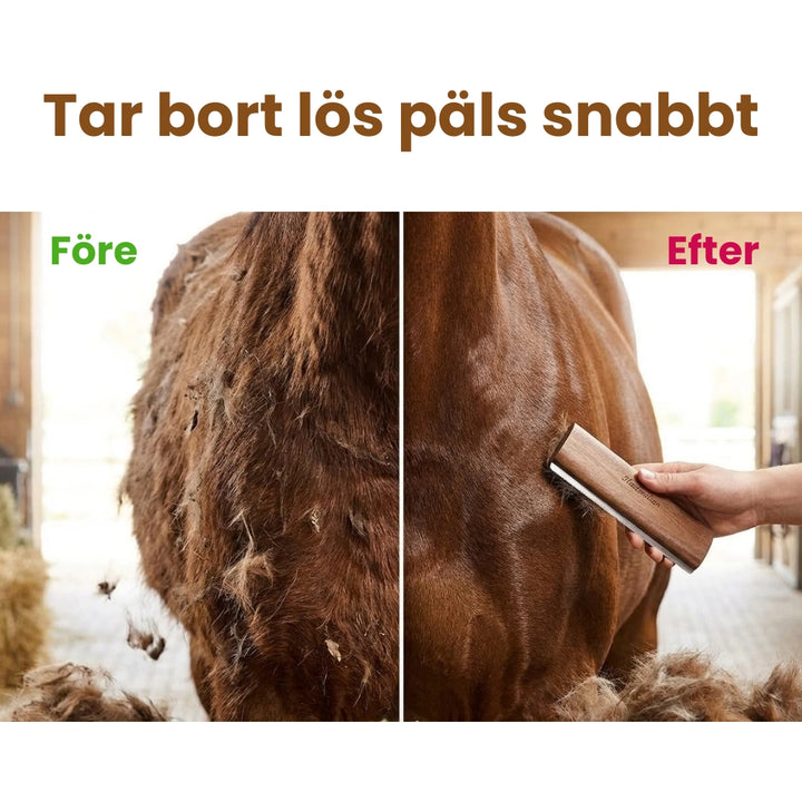 Rengöringsborste för hästpäls Tar bort lös päls snabbt - Djurslottet