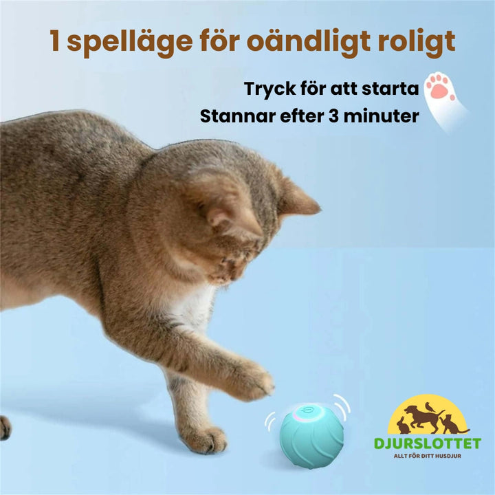 Rolling boll Fördelarna i vardagen - Djurslottet