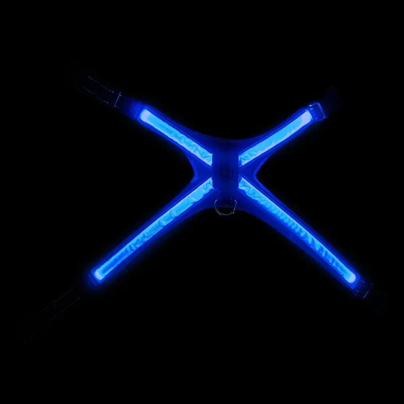 IllumiWalk LED Multifärgssele - Djurslottet