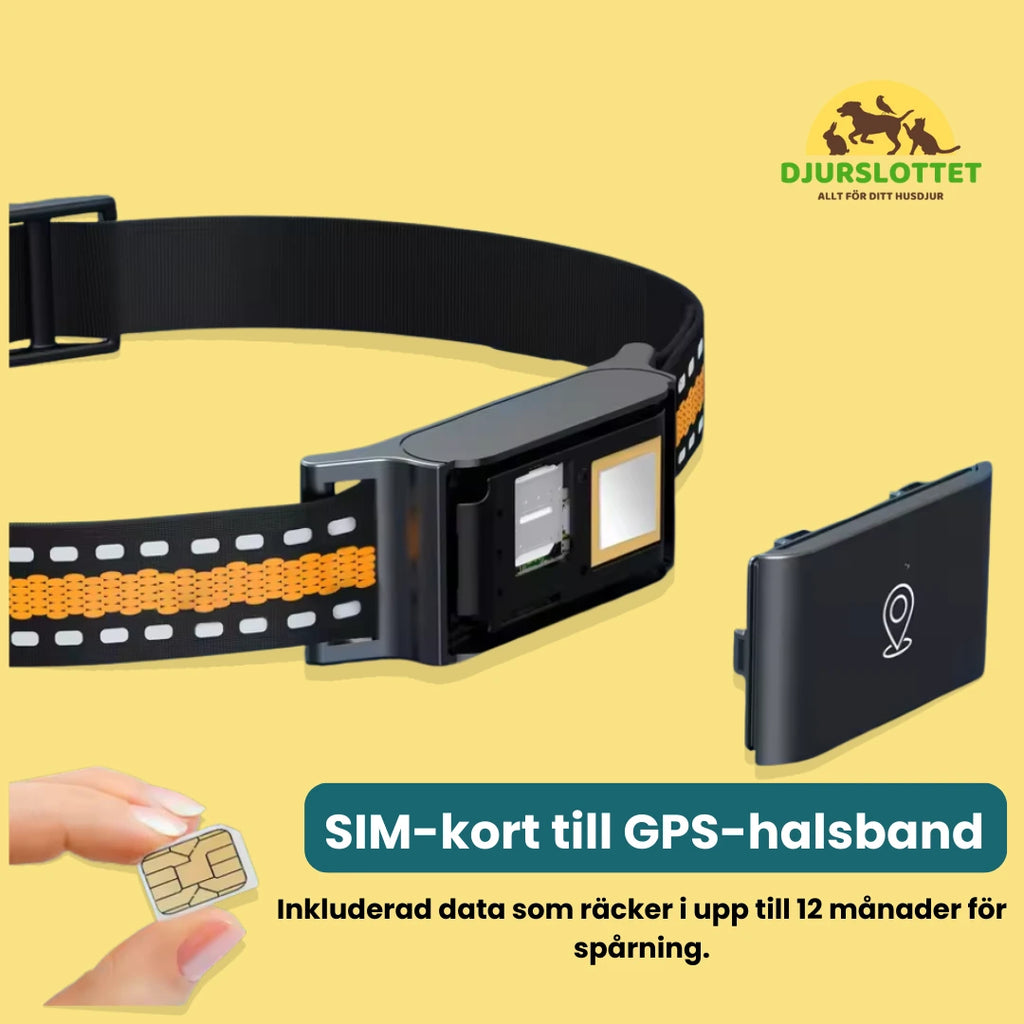 SIM-kort till GPS-halsband med inkluderad data i 12 månader Djurslottet