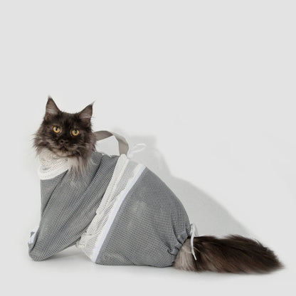 Katter är bekväma