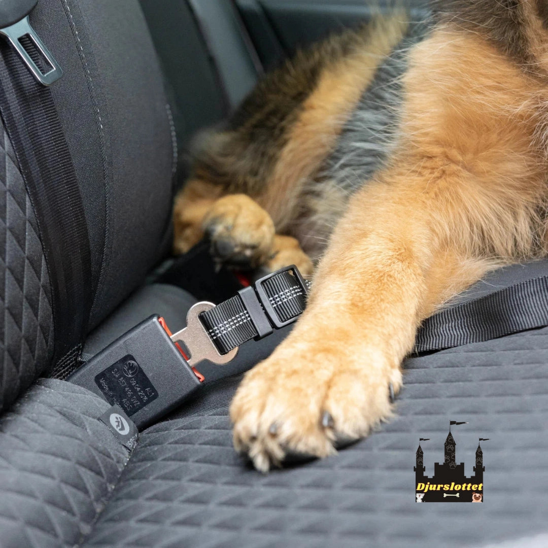 Säkerhetsbälte för husdjur Justerbar Längd- Djurslottet