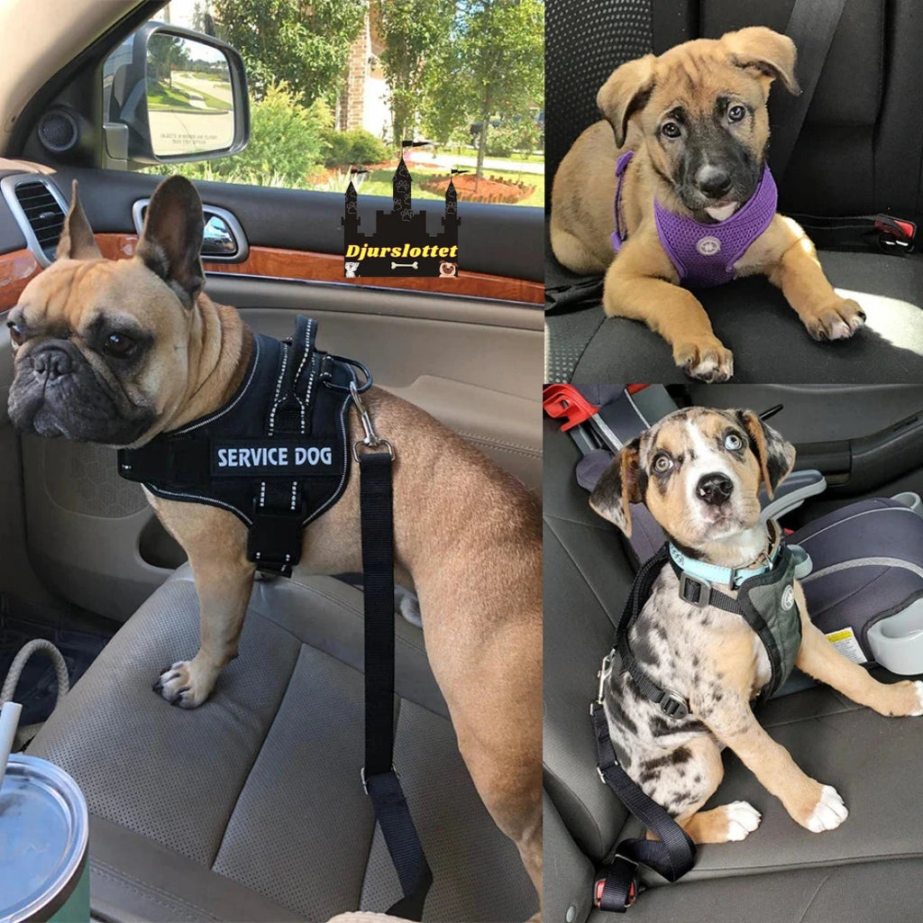 Säkerhetsbälte för husdjur Pro Anpassad för Hundar och Katter- Djurslottet