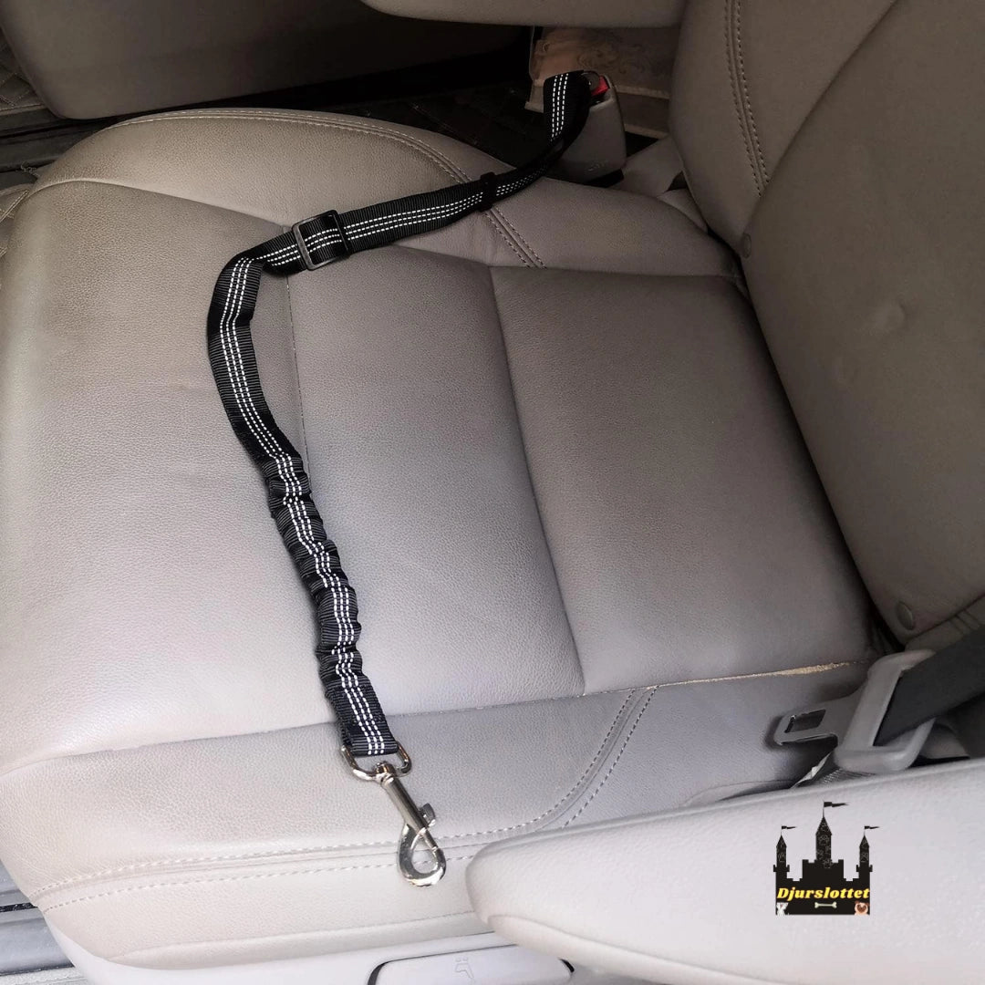 Säkerhetsbälte för husdjur Säker och Stabil -Djurslottet