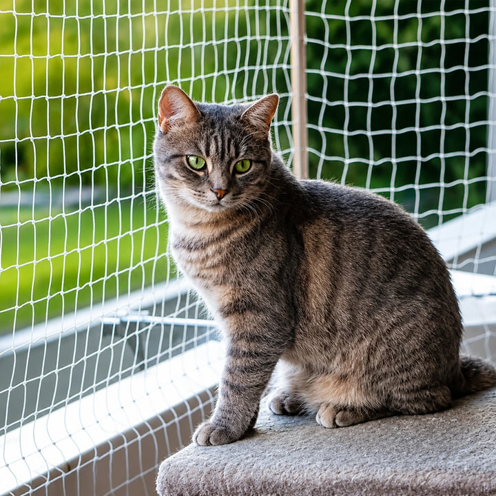SafeGuard transparent kattnät som skyddar katten - Djurslottet