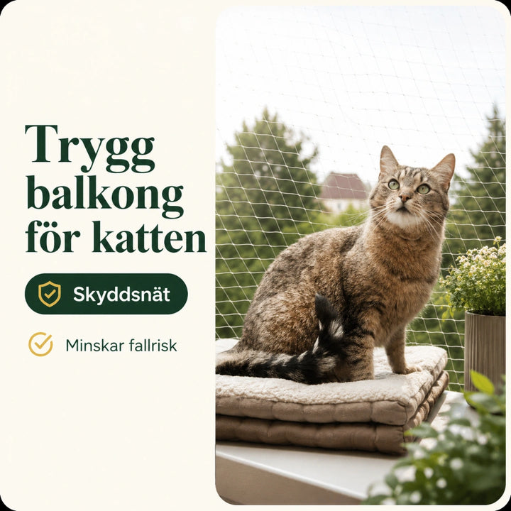 SafeGuard kattnät ger trygg balkong för katten - Djurslottet