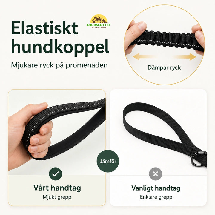 SafePaw Antiryckkoppel med Bilbältesfäste elastikt - Djurslottet