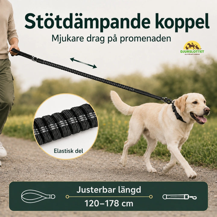 SafePaw Antiryckkoppel med Bilbältesfäste justerbar langd -  Djurslottet
