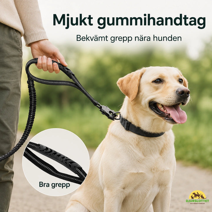 SafePaw Antiryckkoppel med Bilbältesfäste mjukt gummihandtag - Djurslottet