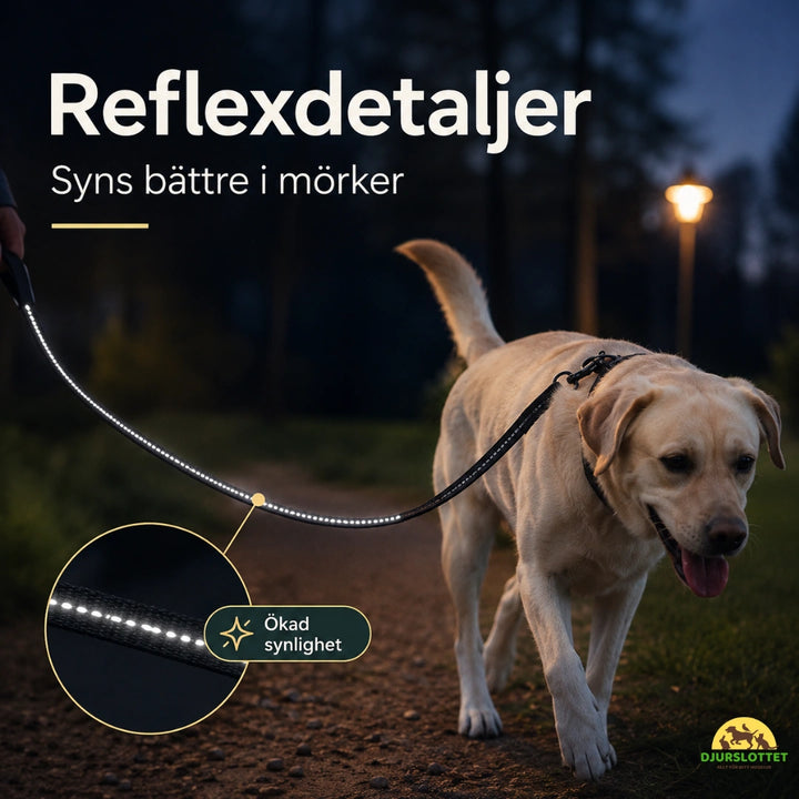 SafePaw Antiryckkoppel med Bilbältesfäste reflexdetaljer - Djurslottet