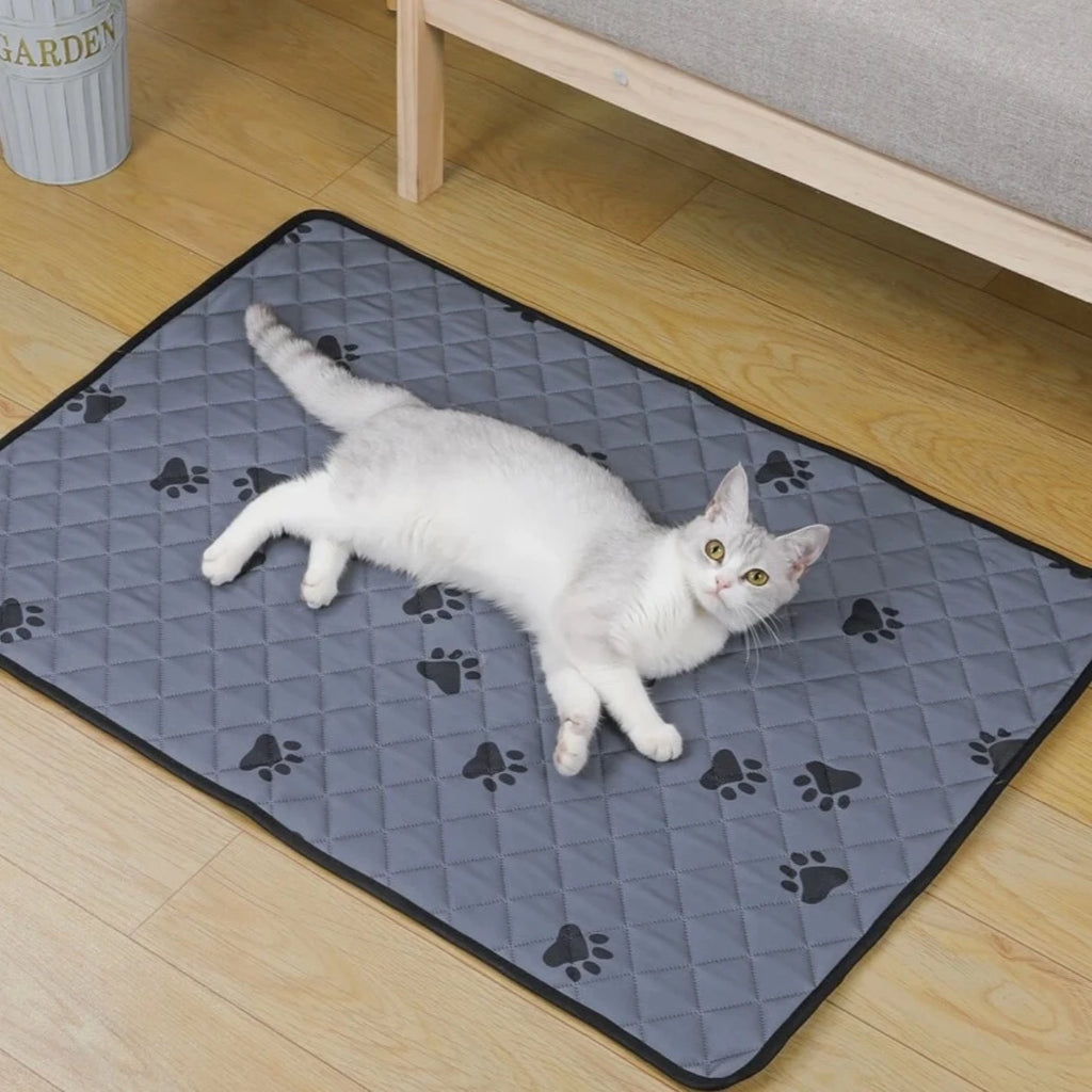 PetCover vattentät möbelskydd - Djurslottet