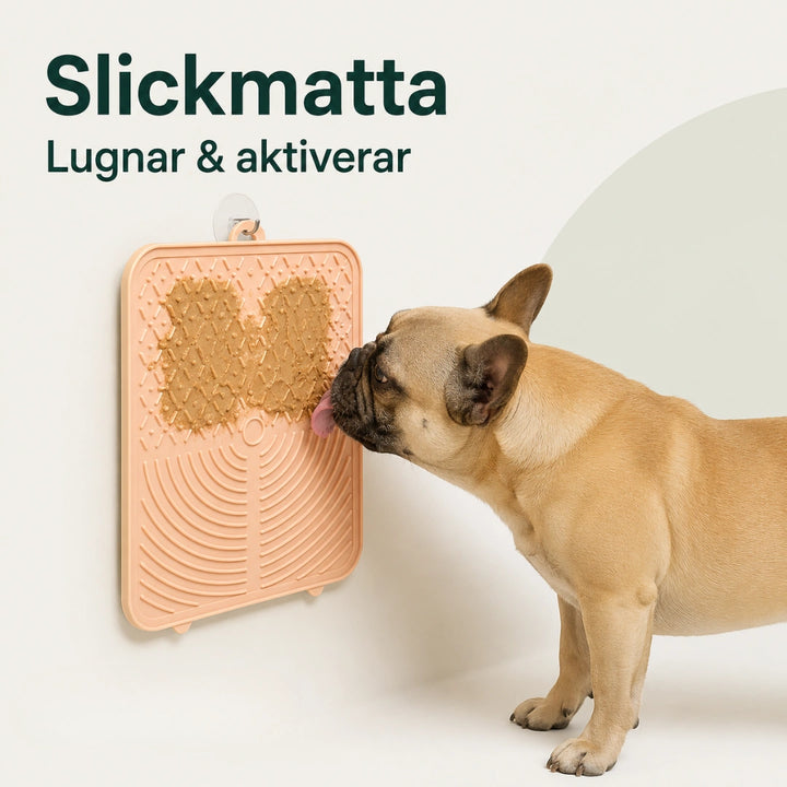 Slickmatta lugnar & aktiverar - Djurslottet