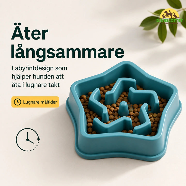 Slowfeeder Pro ater langsammare  - Djurslottet