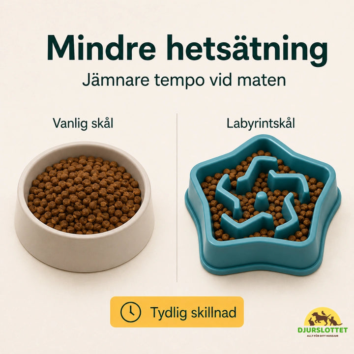 Slowfeeder Pro vs vanlig - Djurslottet