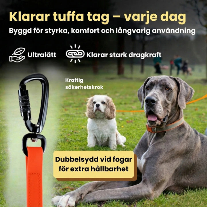 Spårlina för hund klarar tuffa tag Djurslottet