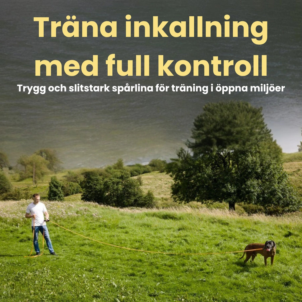 Spårlina för hund klarar tuffa tag Träna inkallning med full kontroll Djurslottet