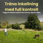 Spårlina för hund klarar tuffa tag Träna inkallning med full kontroll Djurslottet