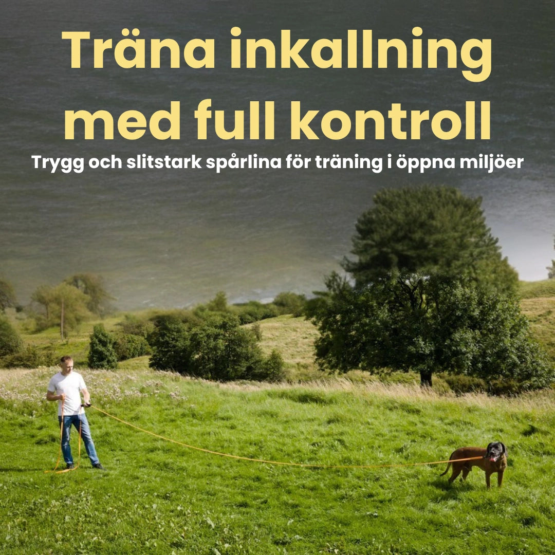 Spårlina för hund klarar tuffa tag Träna inkallning med full kontroll Djurslottet