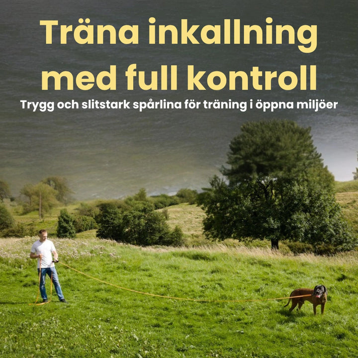 Spårlina för hund klarar tuffa tag Träna inkallning med full kontroll Djurslottet