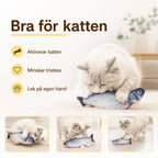 Sprattlande fisk bra for katten - Djurslottet