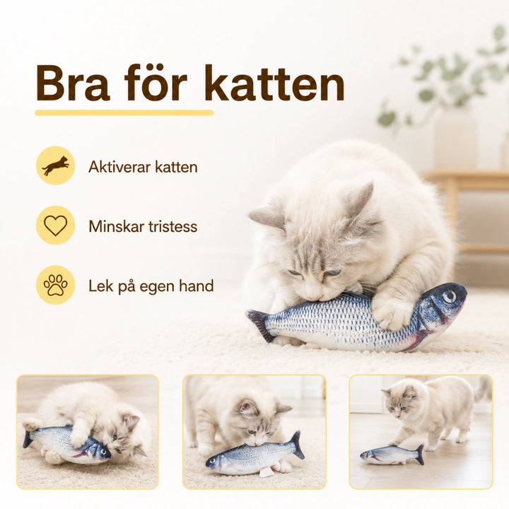 Sprattlande fisk bra for katten - Djurslottet