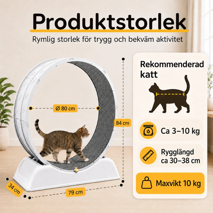 Storlek Katthjul - Djurslottet