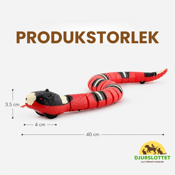 Storlek av Automatisk Leksakorm för katter - Djurslottet