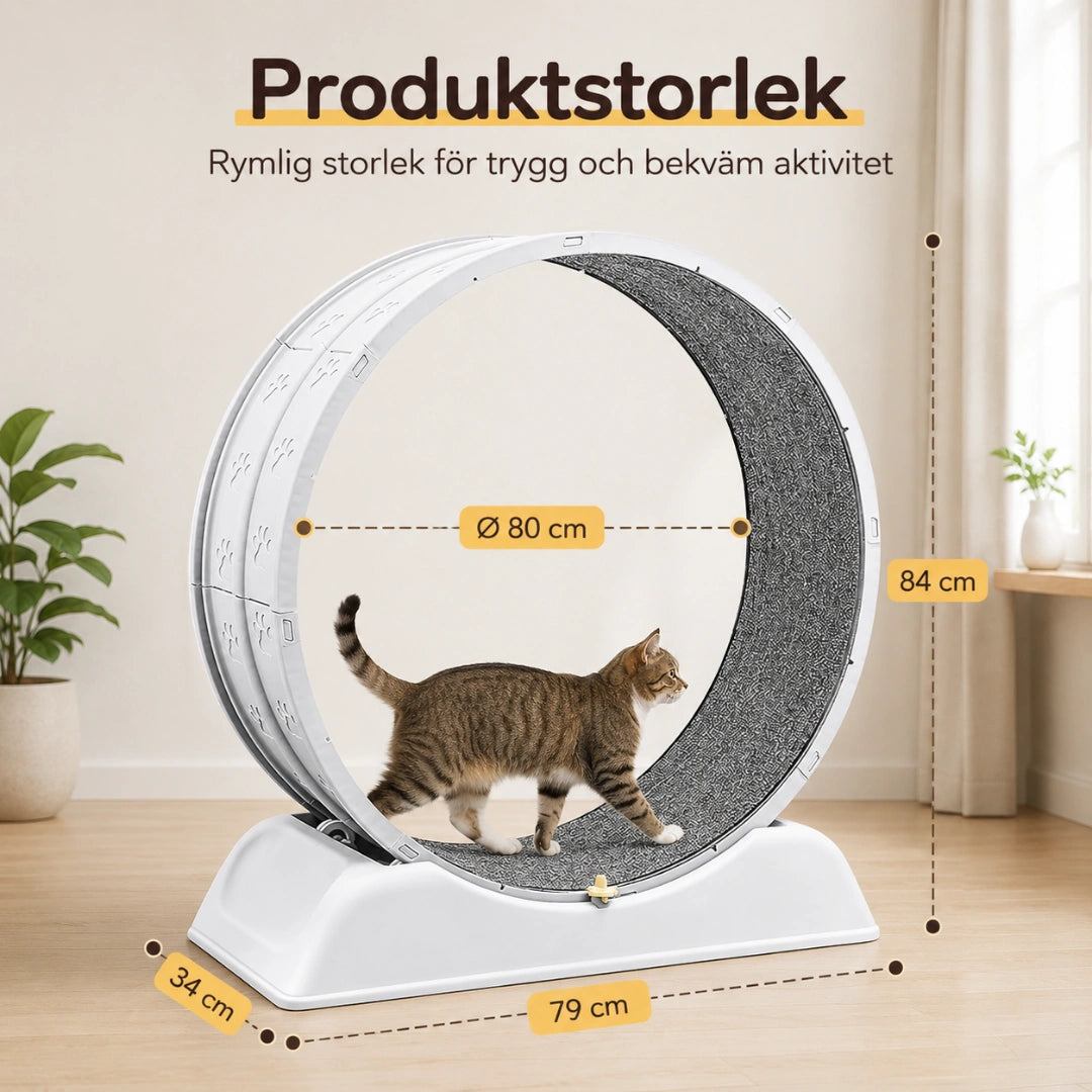 Storlek av Katthjul - Djurslottet