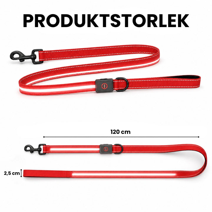 Storlek av Led lysande koppel - Djurslottet