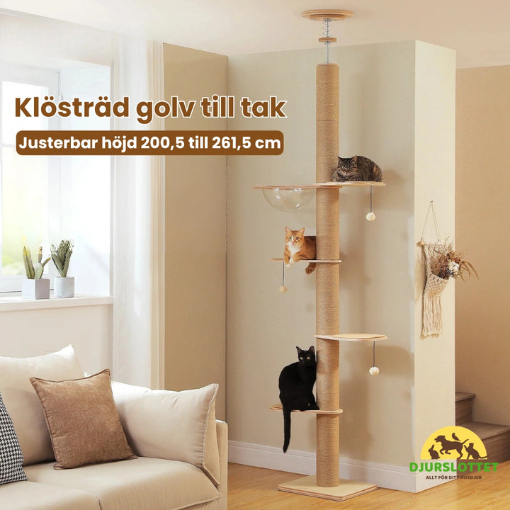TassTorn Klösträd golv till tak - Djurslottet