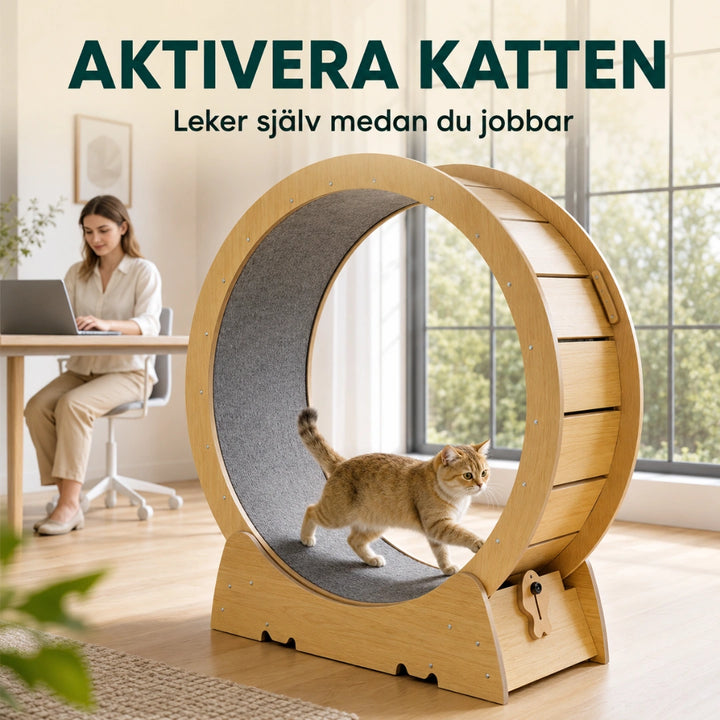 Tassiloop Katthjul i trä aktivera katten - Djurslottet