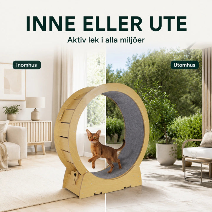 Tassiloop Katthjul i trä inne eller ute - Djurslottet