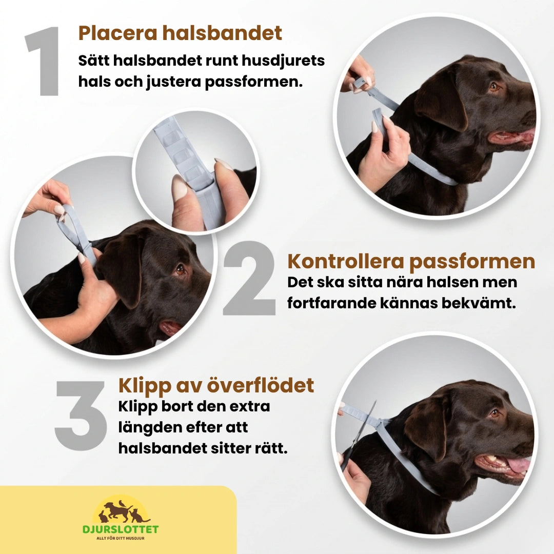 TickSafe Fästingshalsband Justerbar passform - Djurslottet