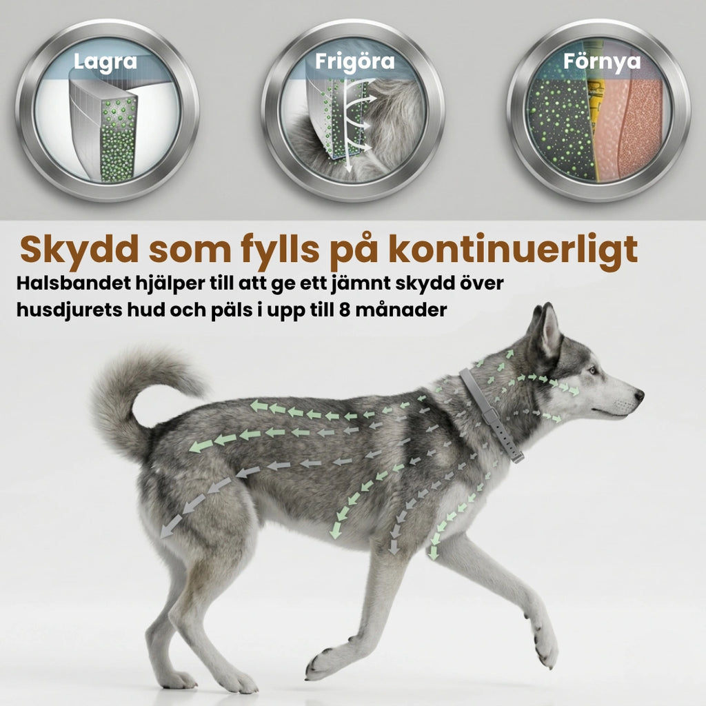 TickSafe Fästingshalsband Tål vardagen - Djurslottet