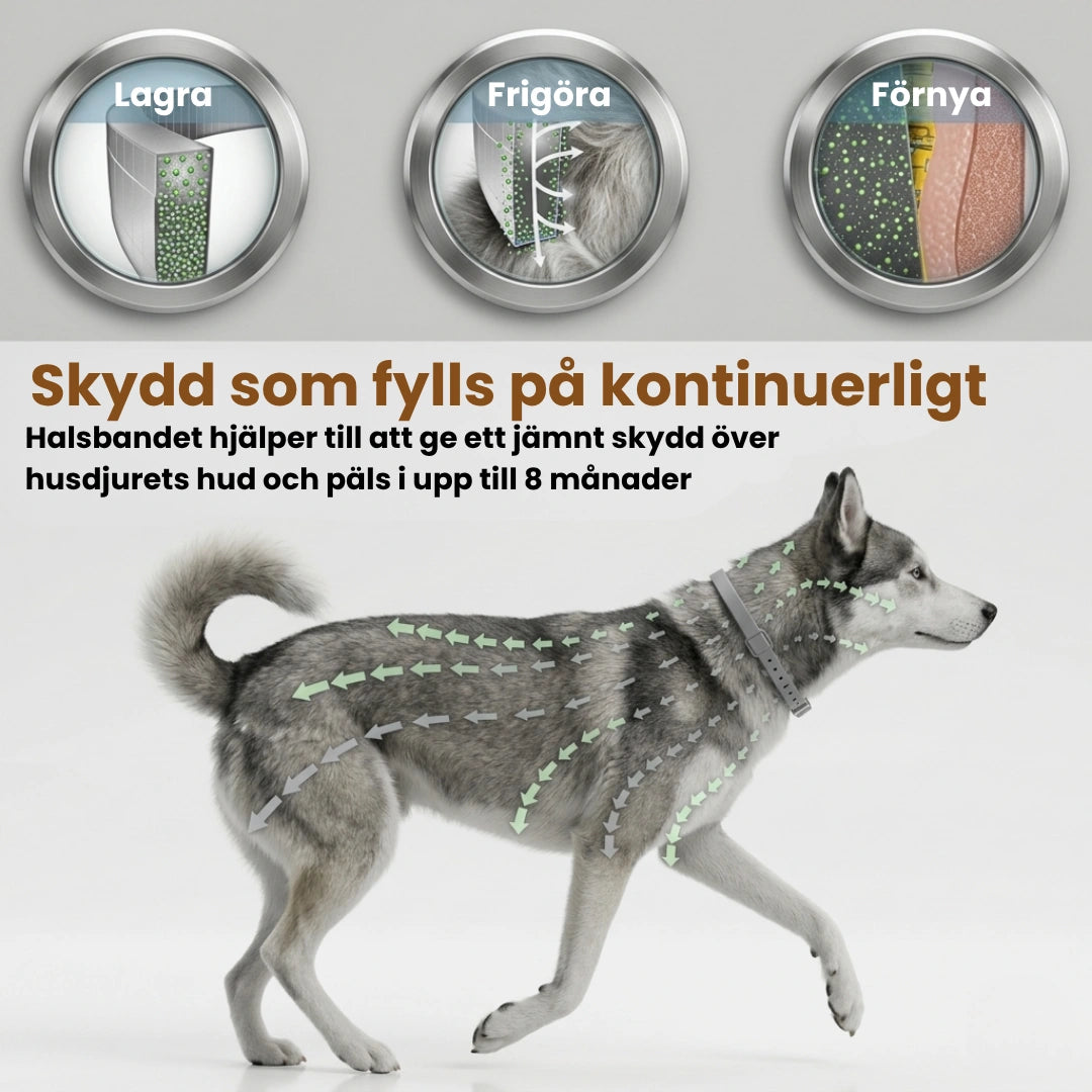 TickSafe Fästingshalsband Tål vardagen - Djurslottet