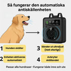 Ultraljud_Antiskallenhet_auto_användning -Djurslottet