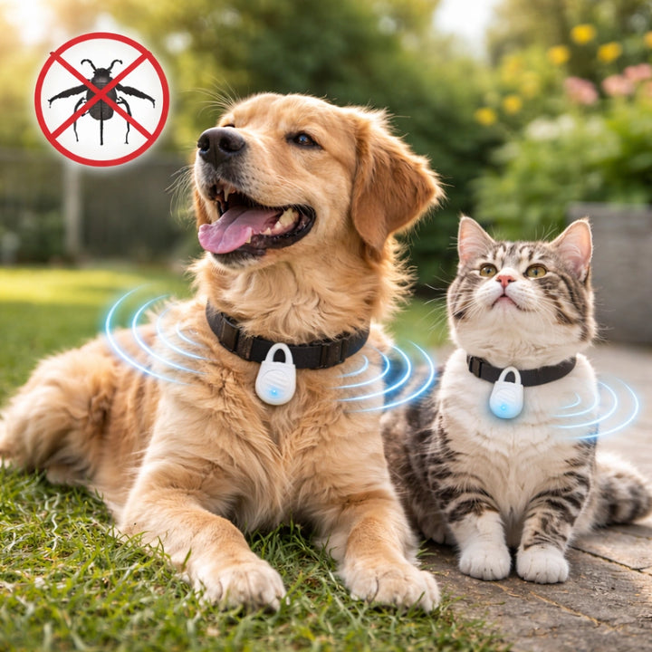 Ultraljud Fästingskydd för hund och katt Trygg vardag - Djurslottet