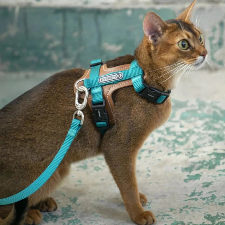 HiDream Leather Series kattsele - Djurslottet