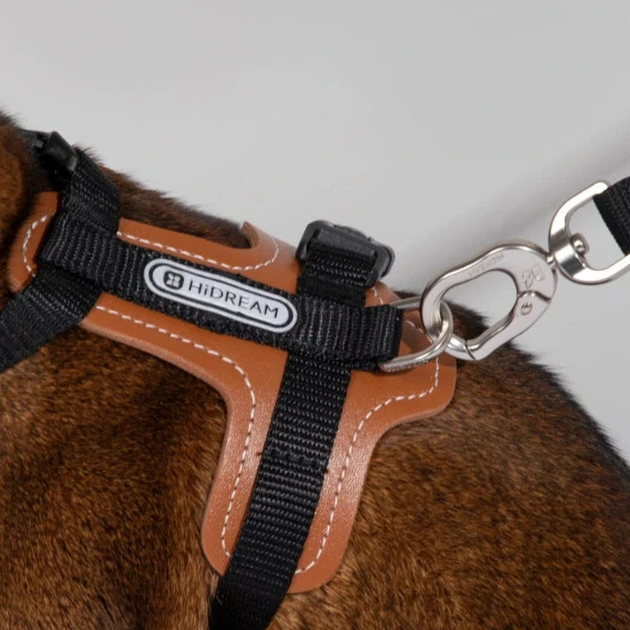 HiDream Leather Series kattsele - Djurslottet