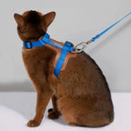 HiDream Leather Series kattsele - Djurslottet