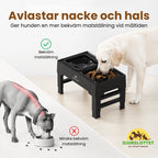 UpFeed Pro Upphöjd Slowfeeder & Anti-Spill Matskål Avlastar nacke och hals - Djurslottet