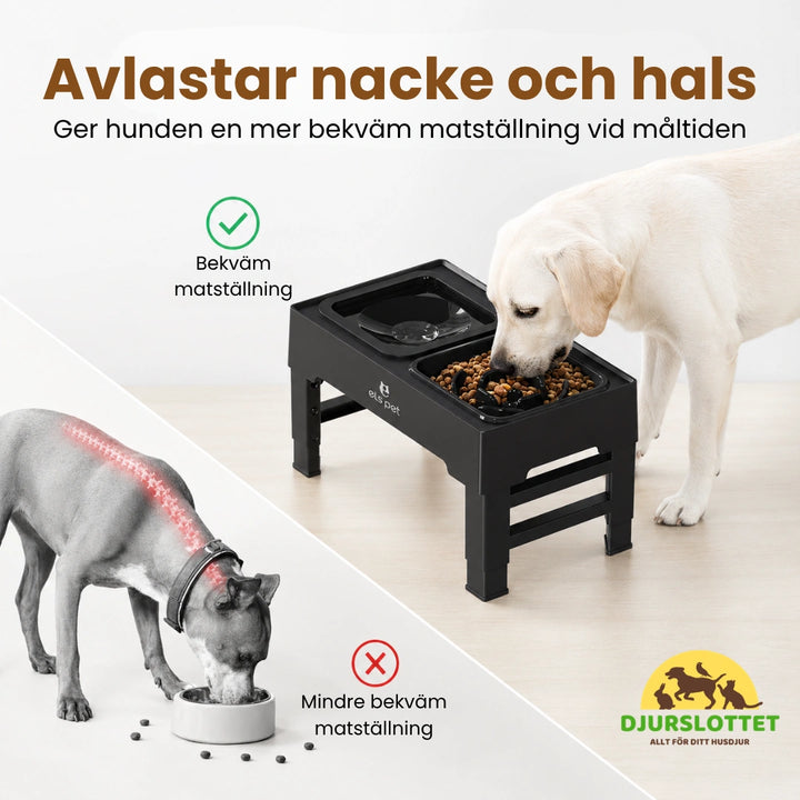 UpFeed Pro Upphöjd Slowfeeder & Anti-Spill Matskål Avlastar nacke och hals - Djurslottet