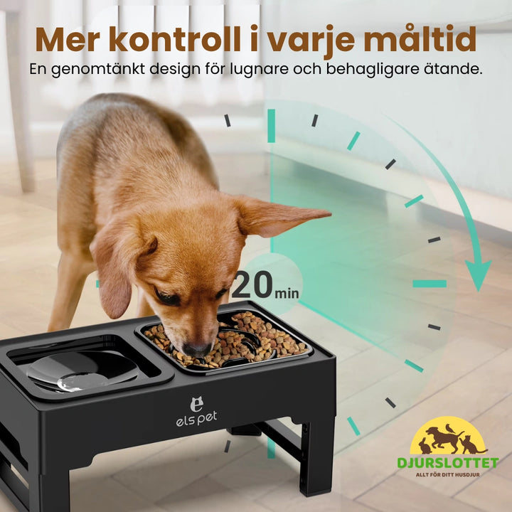 UpFeed Pro Upphöjd Slowfeeder & Anti-Spill Matskål Mer kontroll i varje måltid - Djurslottet